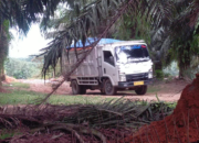 Warga Kecewa, Galian C Diduga Ilegal di Kecamatan Wampu Tak Tersentuh Hukum