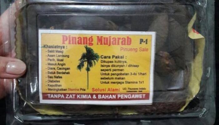 Manfaat Pinang Asap Khas Aceh yang Perlu Anda Ketahui