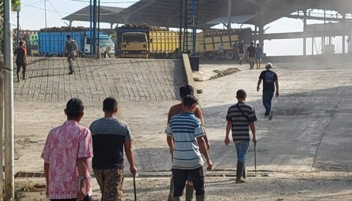 Tolak Dijadikan BHL, Puluhan Anggota FSPTI – KSPSI ‘Duduki’ PT CCMO