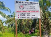 Aktivis Lingkungan Kecam Perusak Hutan Lindung di Kwala Langkat