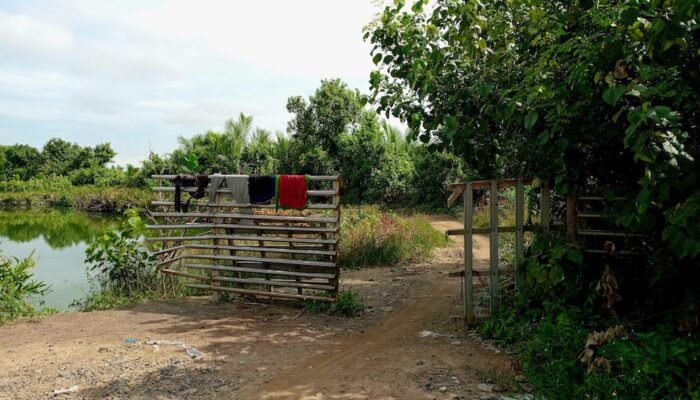Miris!!! Cabup di Langkat Tak Beri Akses Warga Lintasi Tambak