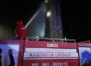 Tim Damkar Langkat Basmi Belasan Sarang Lebah di Tugu T Ami Hamzah