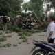 Batang Pohon Timpa Warga Lagi, DPRD Langkat Segera Panggil Bupati