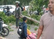 Dahan Pohon di Stabat ‘Makan’ Korban, Warga: Copot Kadis LH Langkat