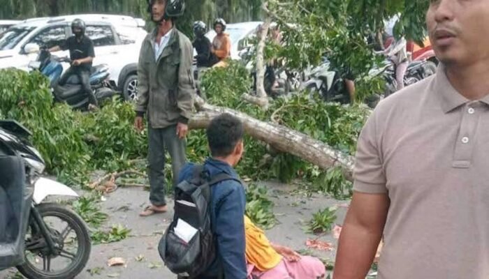 Dahan Pohon di Stabat ‘Makan’ Korban, Warga: Copot Kadis LH Langkat