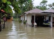 Tiga Hari Hujan, Jalan dan Pemukiman Warga Stabat Tergenang